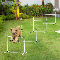 Dog Agility Training Set 4pc