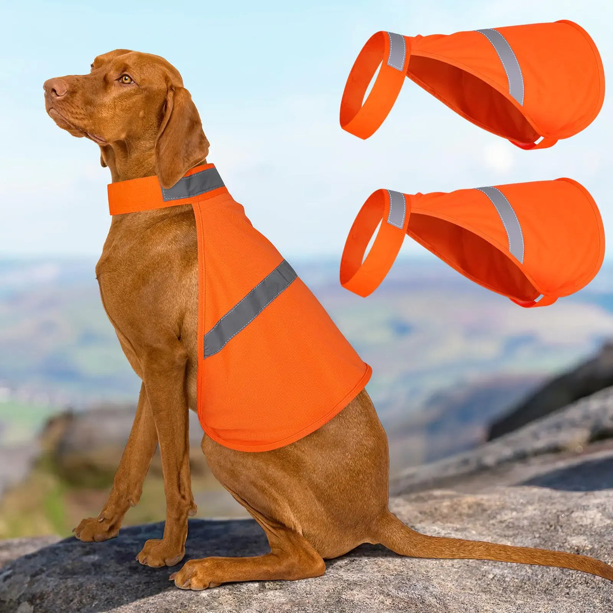 Reflective High-Vis Dog Vest