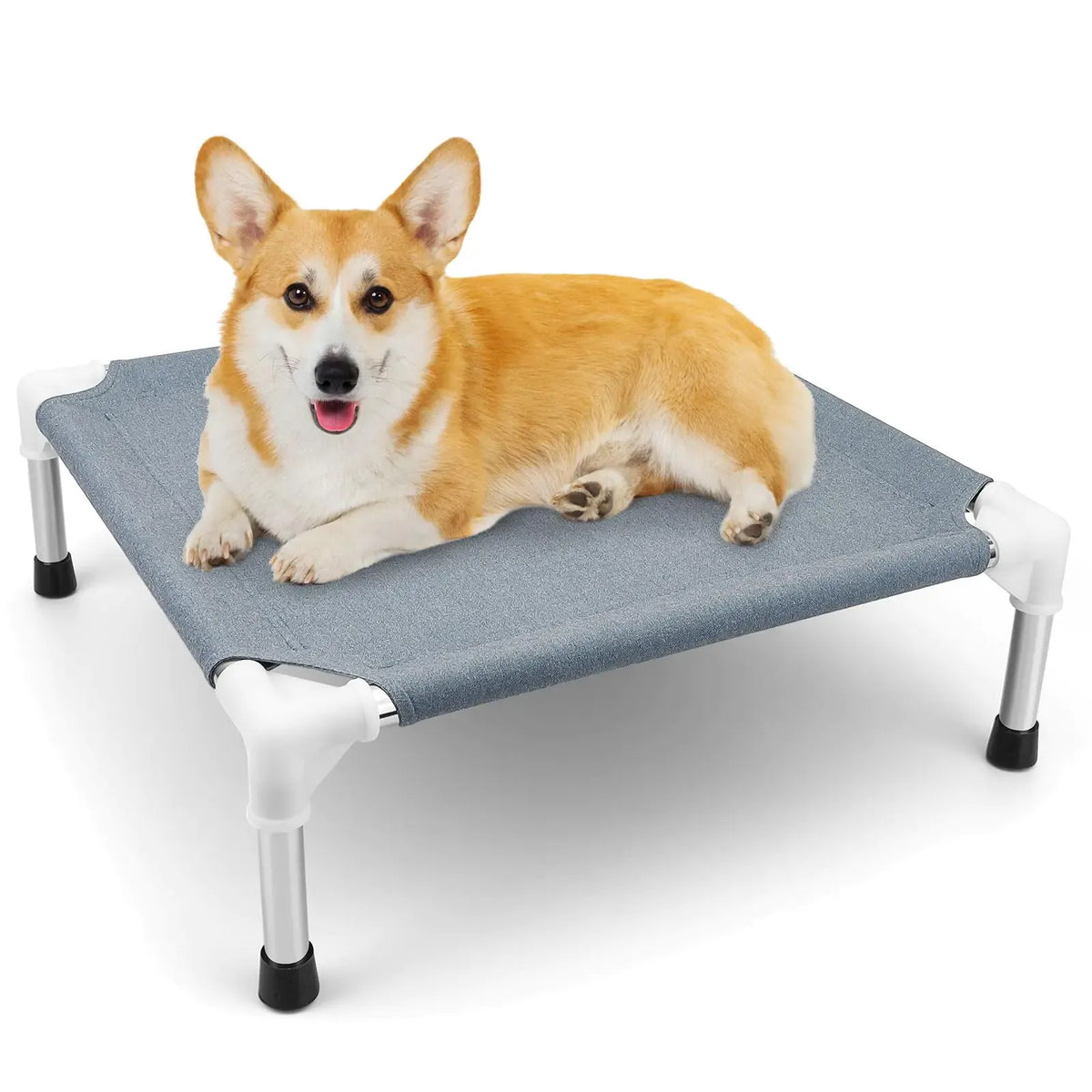 Portable dog cot dimensions and weight rating