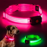 LED Dog Collar
