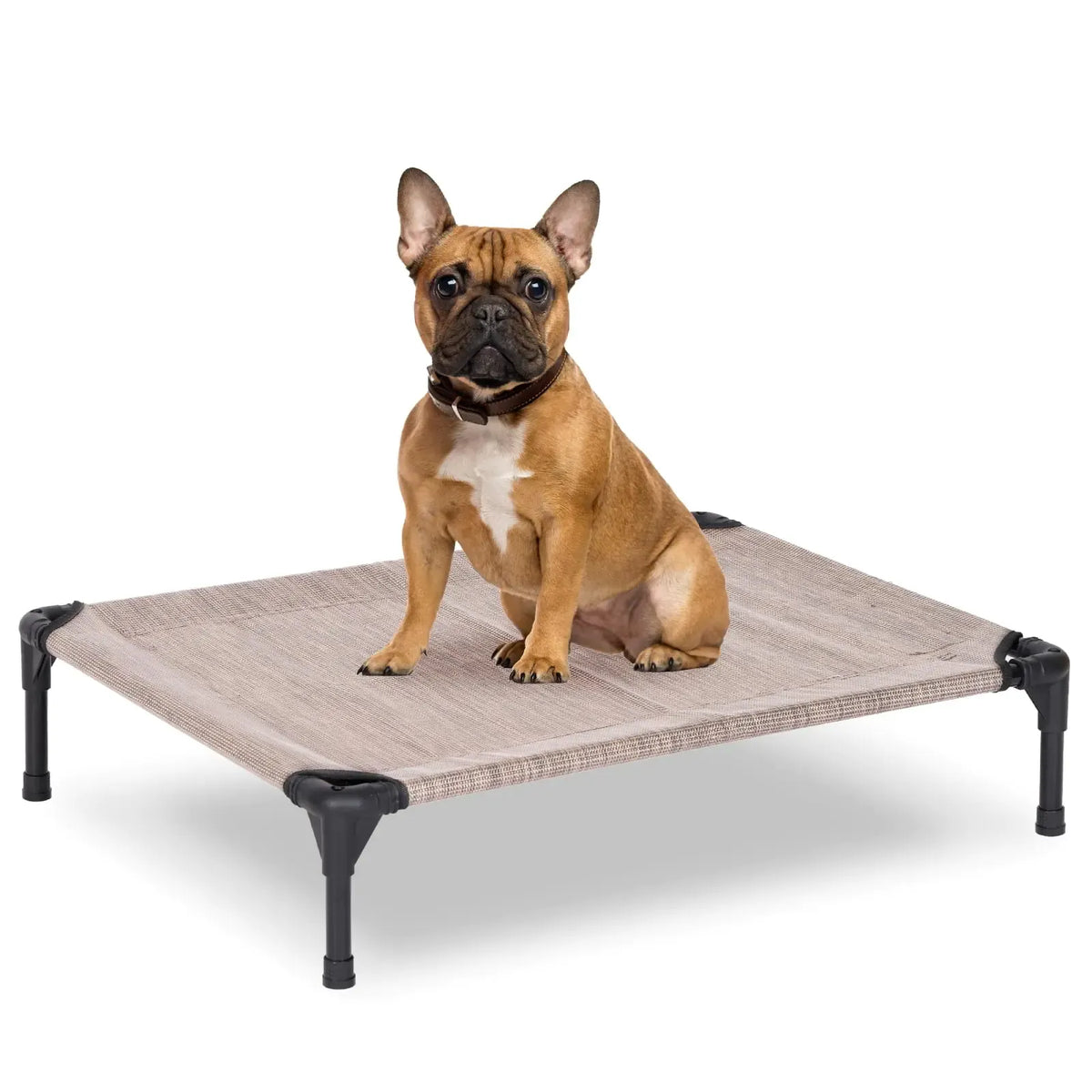 Airflow underneath the raised mesh dog bed