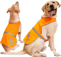 Reflective High-Vis Dog Vest