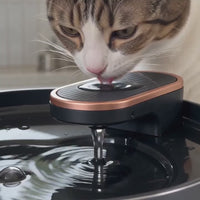 Product page demo: close-up of a cat drinking from the 3L USB fountain followed by continuous water circulation