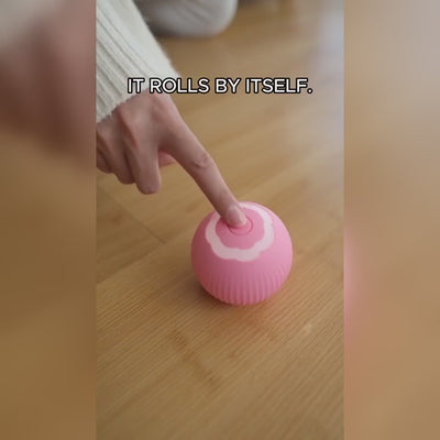 Smart rolling cat ball product demo with a cat