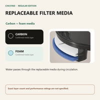 Replaceable carbon and foam filter media