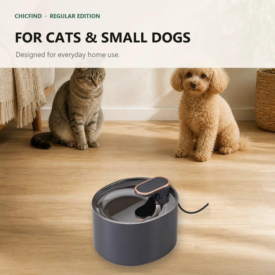 For cats & small dogs